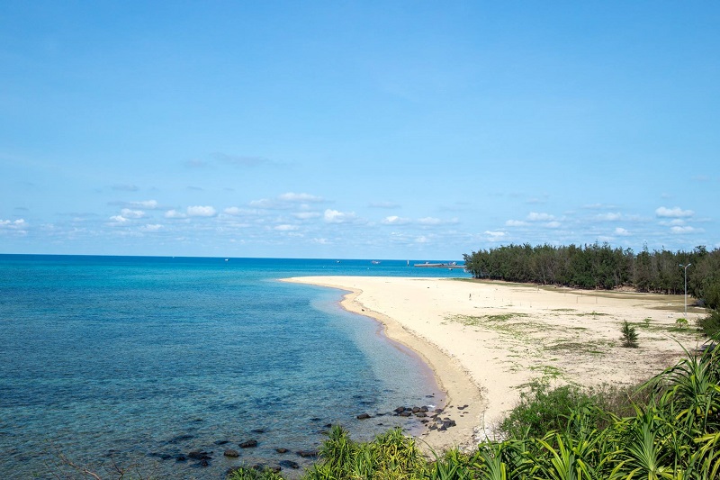 Ảnh slide minh họa 1